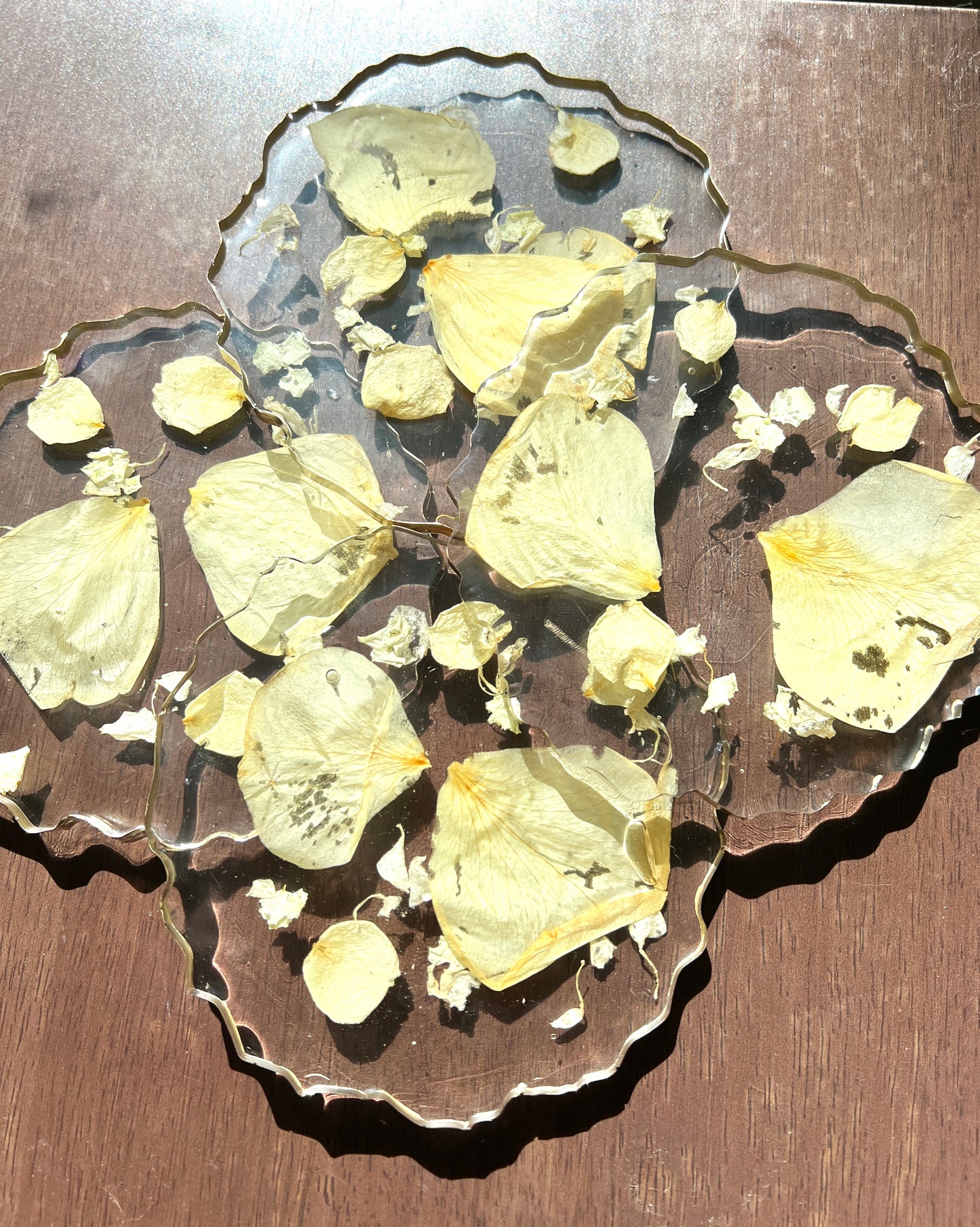 Custom Flower Preservation Geode Coaster Set