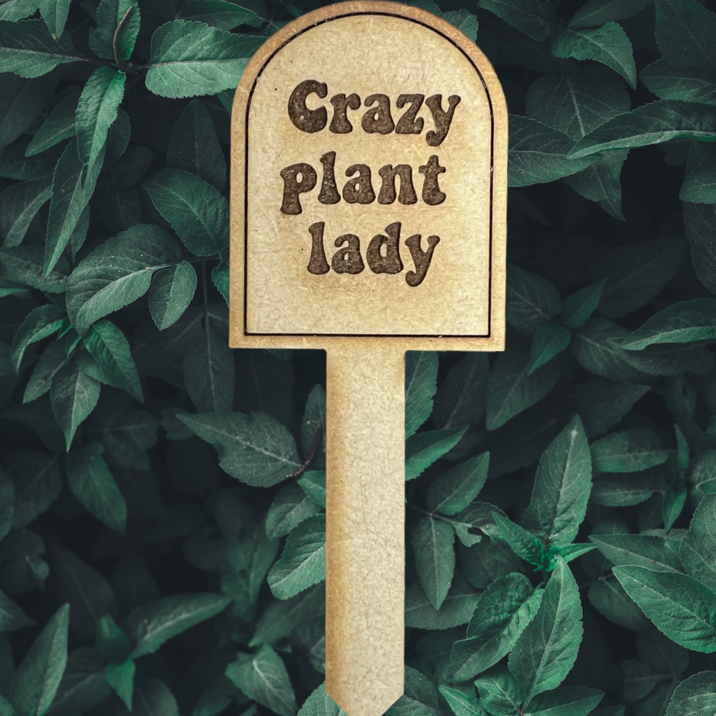 an arch plant stake that reads crazy plant lady