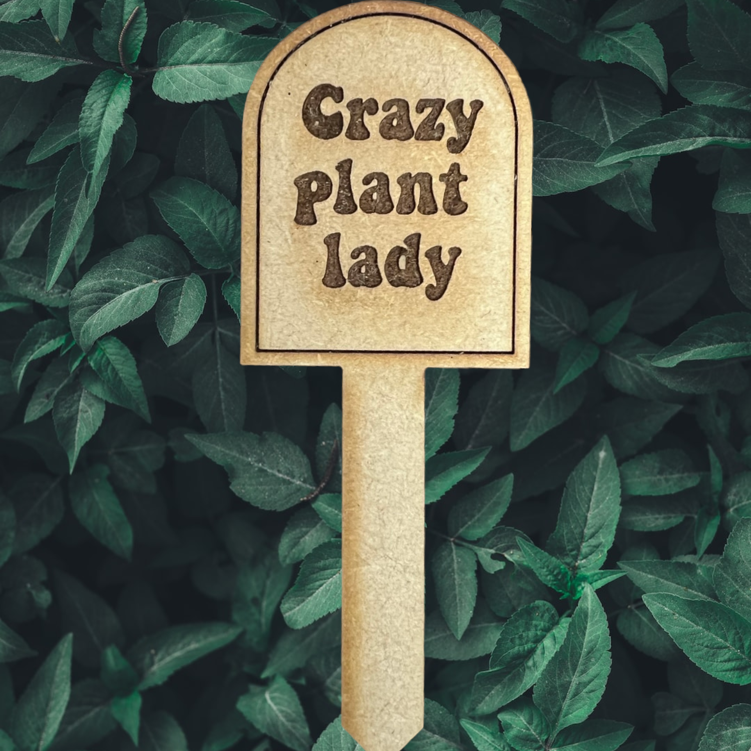 an arch plant stake that reads crazy plant lady