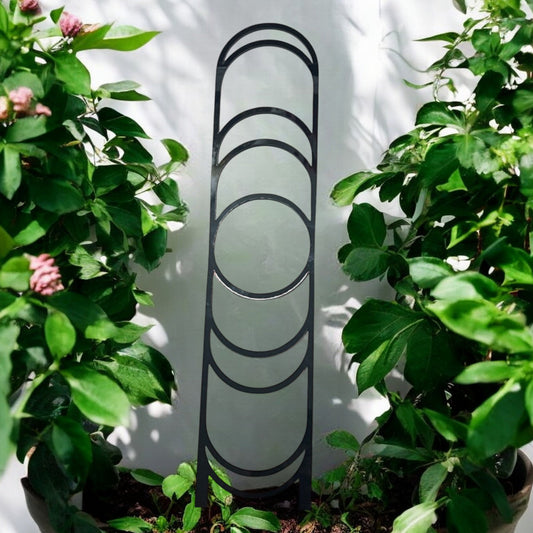 Moon Phase Trellis