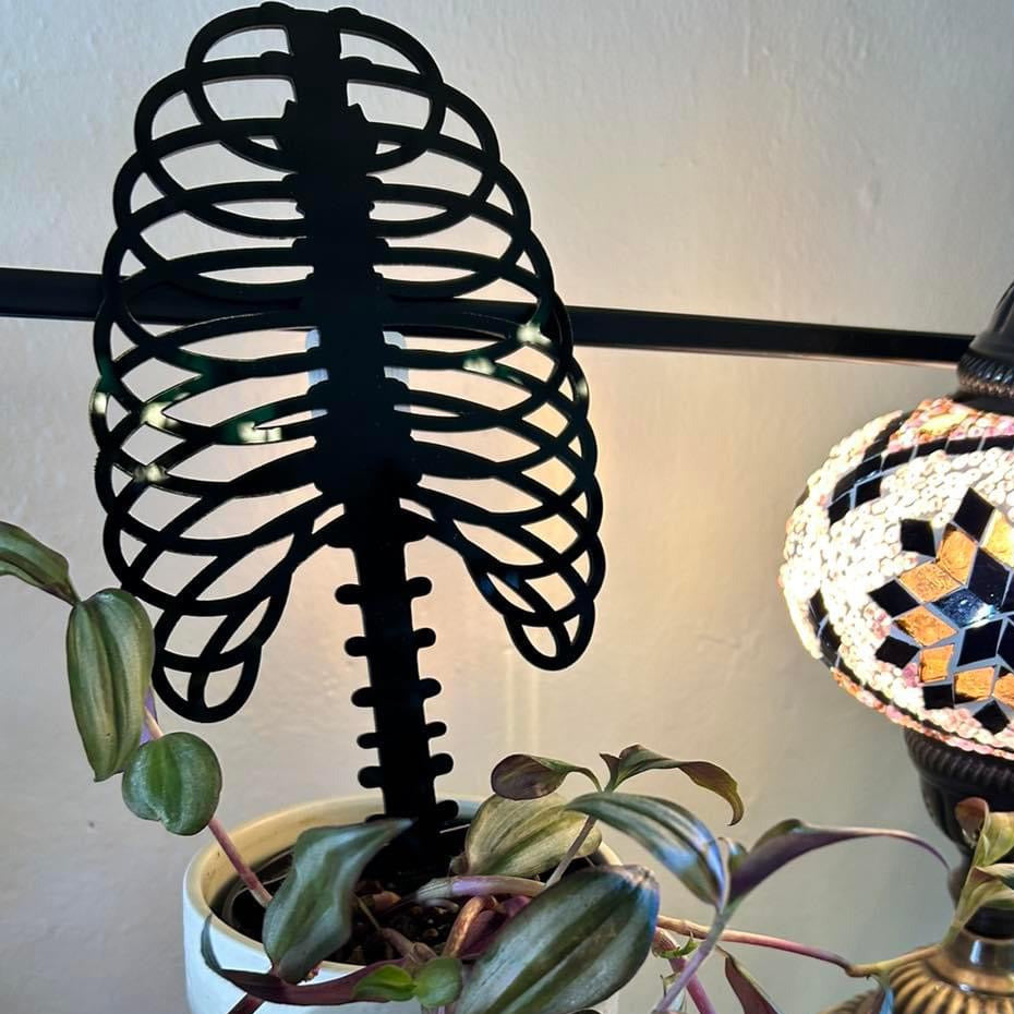 Skelly Rib Cage Plant Trellis