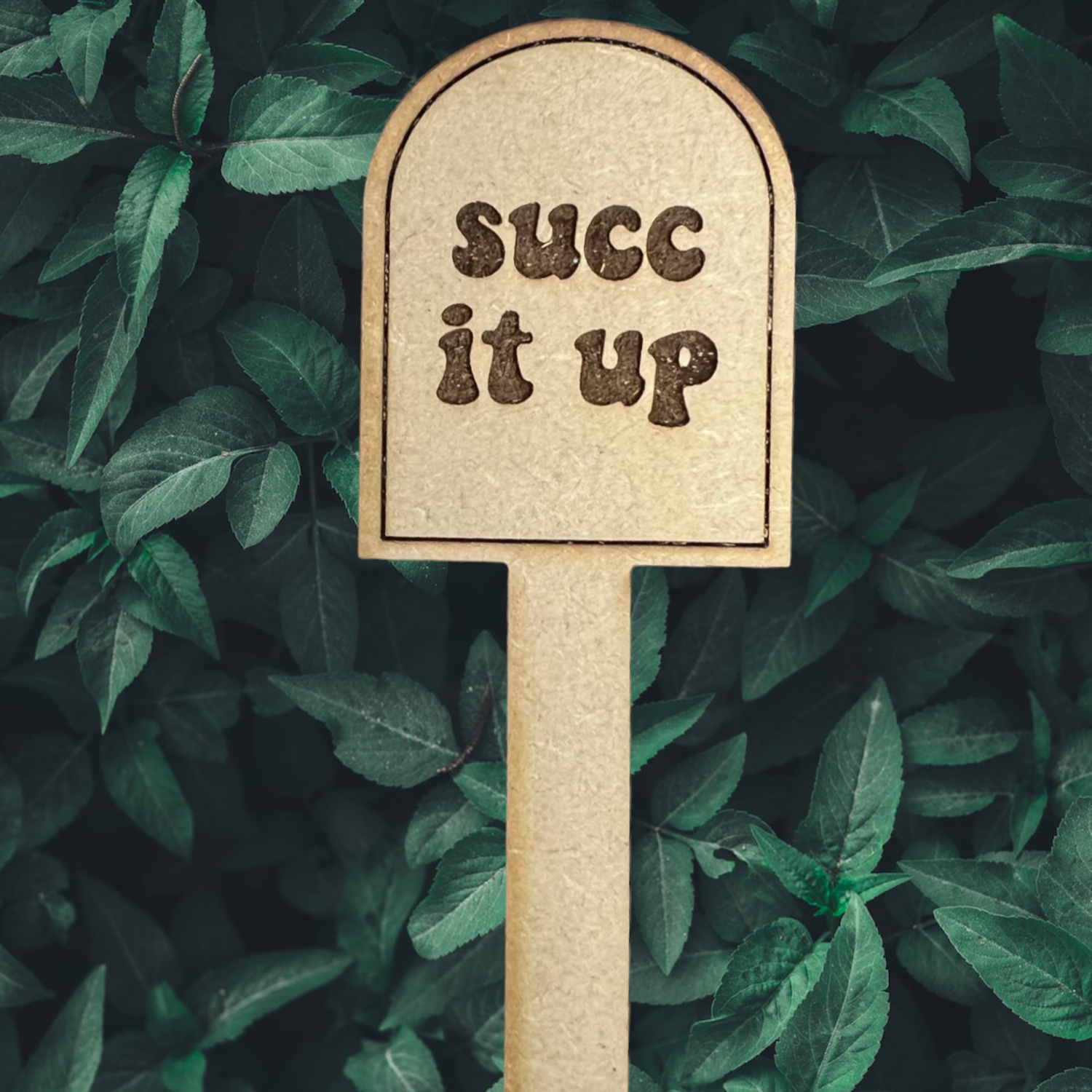 a plant stake that reads succ it up