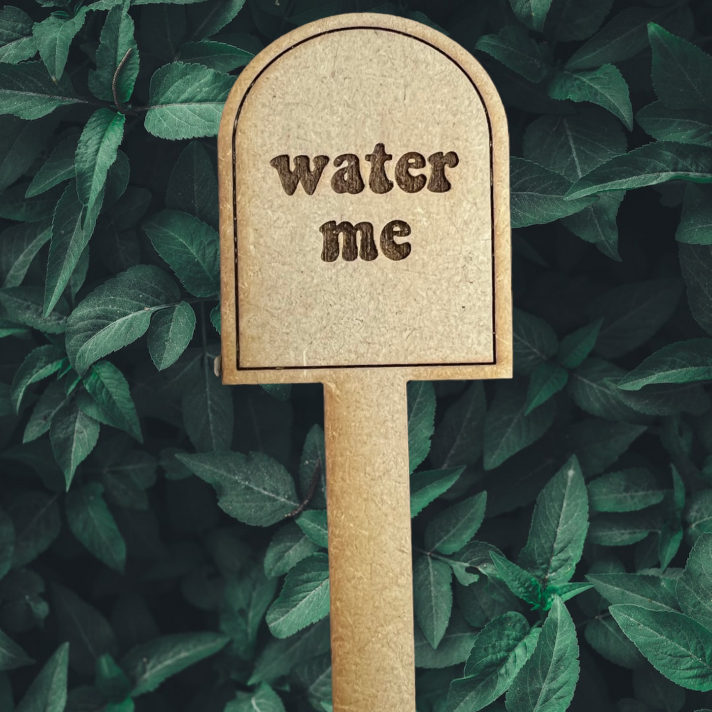 a plant stake that reads water me